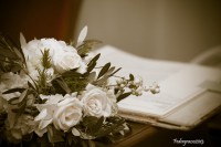 /album/galleria-foto-servizi-fotografici/mg-8957-jpg/