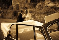 /album/galleria-foto-servizi-fotografici/a5224428177-dd1ddaf9ce-b-jpg1/